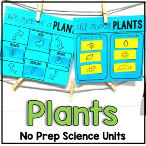 Plant Activities for First Grade - Kristen Sullins Teaching