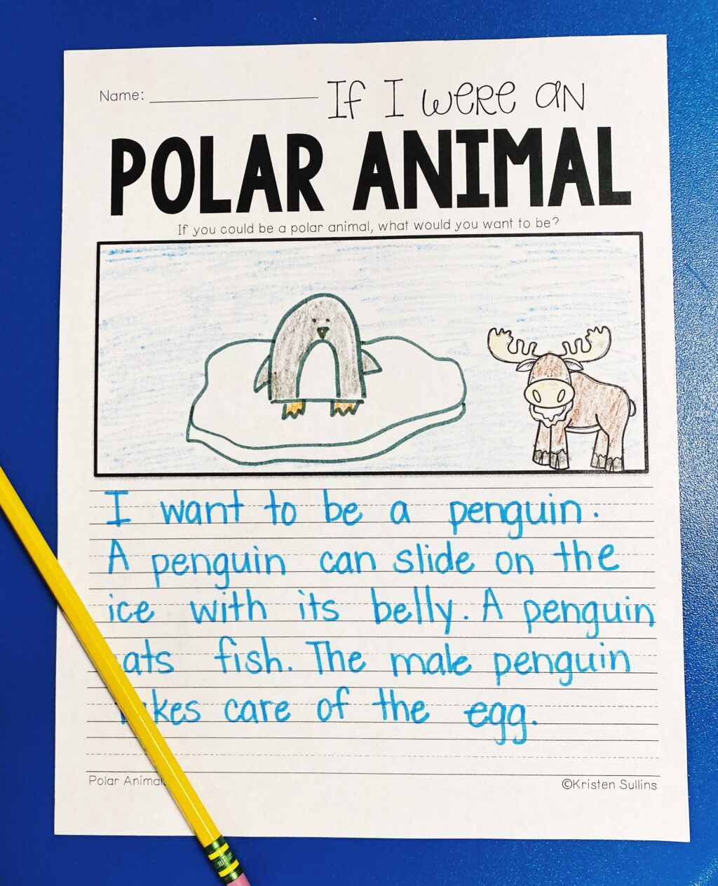 Polar Animals for First Grade - Kristen Sullins Teaching