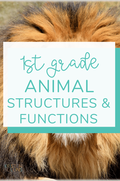 Animal Structures - Kristen Sullins Teaching
