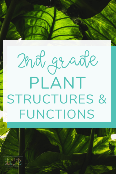 Plant Structures - Kristen Sullins Teaching