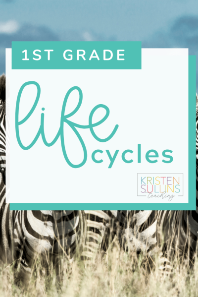 First Grade Life Cycles - Kristen Sullins Teaching