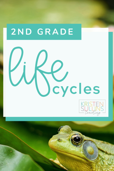 2nd Grade Life Cycles - Kristen Sullins Teaching